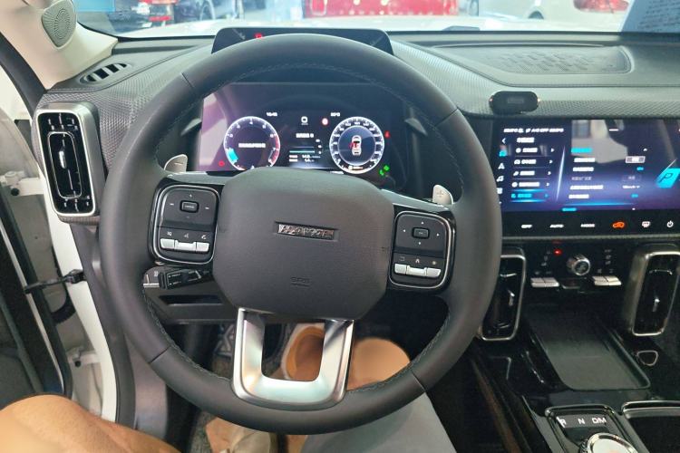 Used Haval DARGO 2021 Revised Version 2.0T DCT Four-Wheel Drive "Hao Tian Que" Edition
