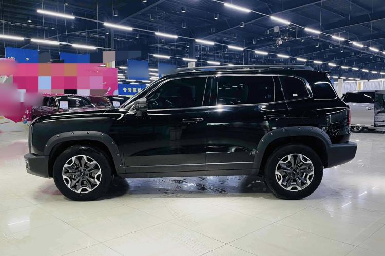 Used Haval DARGO 2024 2.0T DCT Chinese Rural Dog Edition
