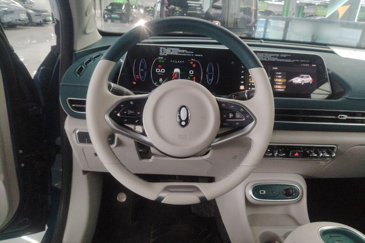 Used ORA Good Cat 2023 401 km Standard Range Luxury Version Lithium Iron Phosphate
