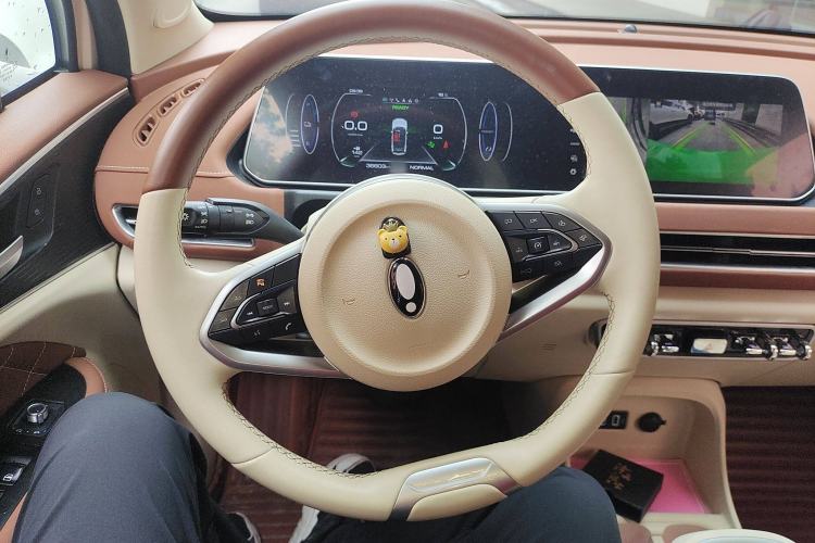 Used ORA Good Cat 2021 400km Standard Range Venus Edition Lithium Iron Phosphate
