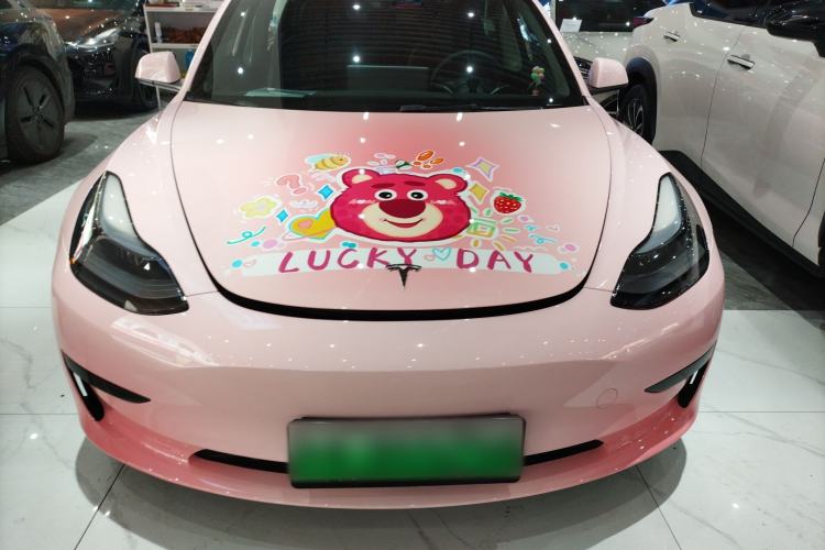 Used Tesla Model 3 2022 Rear-Wheel-Drive Version
