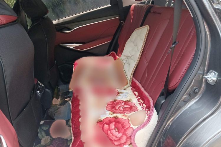 Used Changan CS75 PLUS 2021 1.5T Automatic Prestige Model
