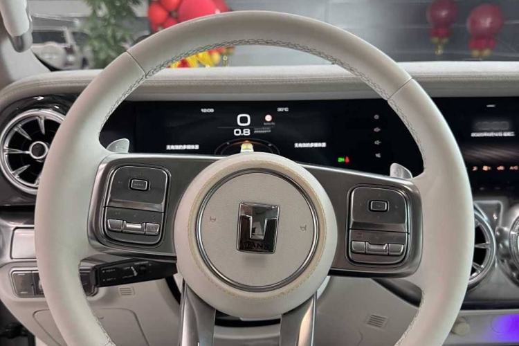 Used  Tank 300 2021 2.0T Cyber Tank
