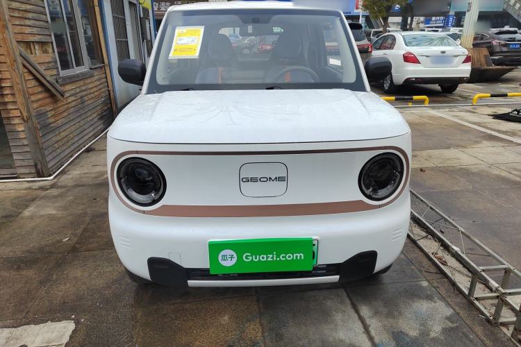 Used  Panda 2024 Panda Mini 200km Endurance Bear
