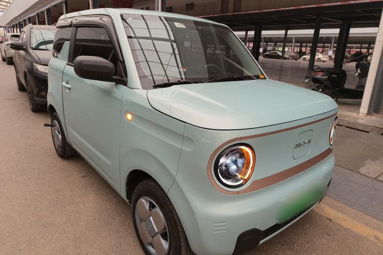 Used  Panda 2024 Panda Mini 200km Longteng PRO Edition
