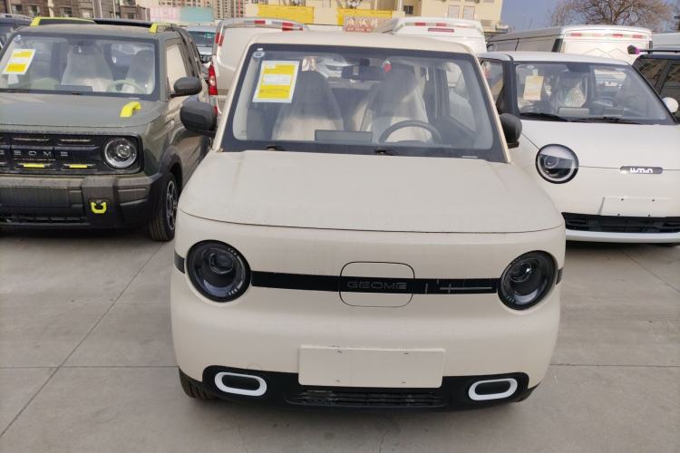 Used  Panda 2025 210 km – Yuanqi Bear