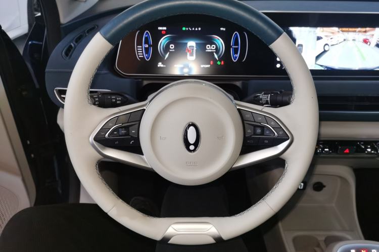 Used ORA Good Cat 2022 Morandi Edition 400km Standard Range Premium Version Lithium Iron Phosphate
