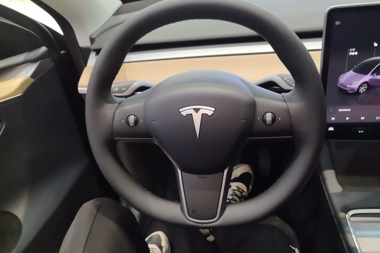 Used Tesla Model Y 2022 Rear-Wheel-Drive Version