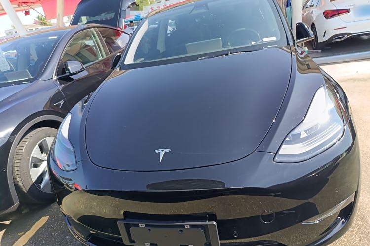 Used Tesla Model Y 2021 Standard Range Rear-Wheel Drive Version
