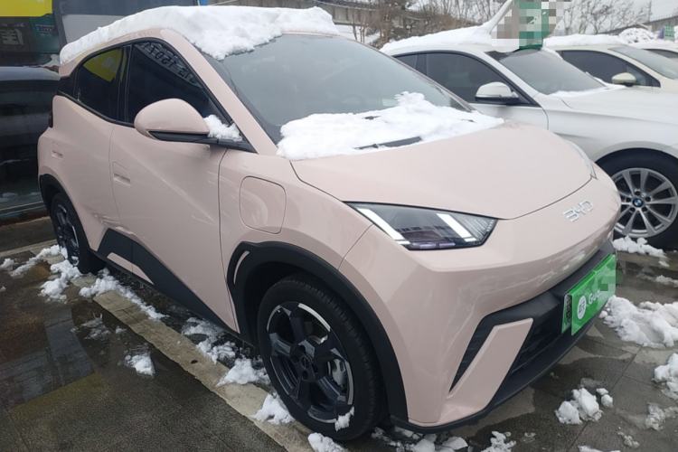 Used BYD Seagull 2024 Honor Edition 305km Freedom Version
