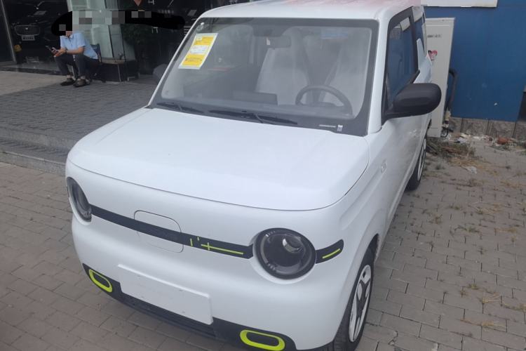Used  Panda 2025 210 km – Yuanqi Bear
