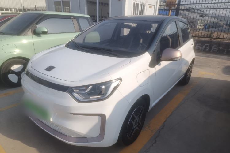 Used SOL E10X 2022 Flower Fairy Design Four-Leaf Clover