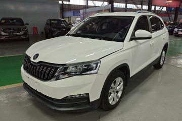 Used Skoda Kamiq 2018 1.5L Automatic Standard Edition China VI