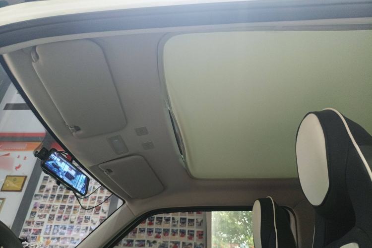 Used  Panda 2023 Panda Mini 200km Dynamic Bear
