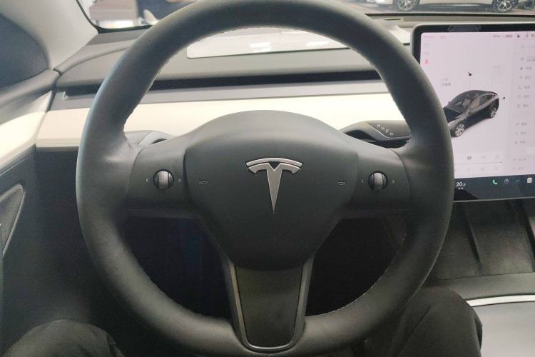 Used Tesla Model Y 2021 Standard Range Rear-Wheel Drive Version
