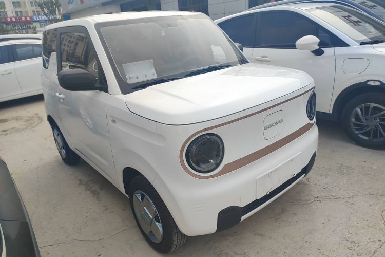 Used  Panda 2024 Panda Mini 200km Endurance Bear
