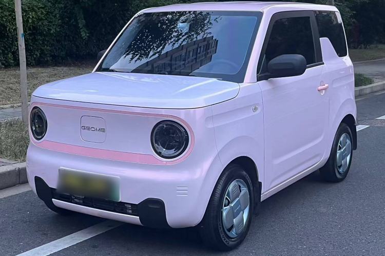 Used  Panda 2023 Panda Mini 200km Endurance Bear
