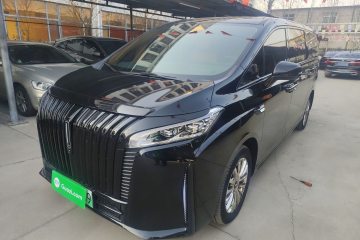 Used Wey Gaoshan 2023 Four-Wheel-Drive Executive Extended Version