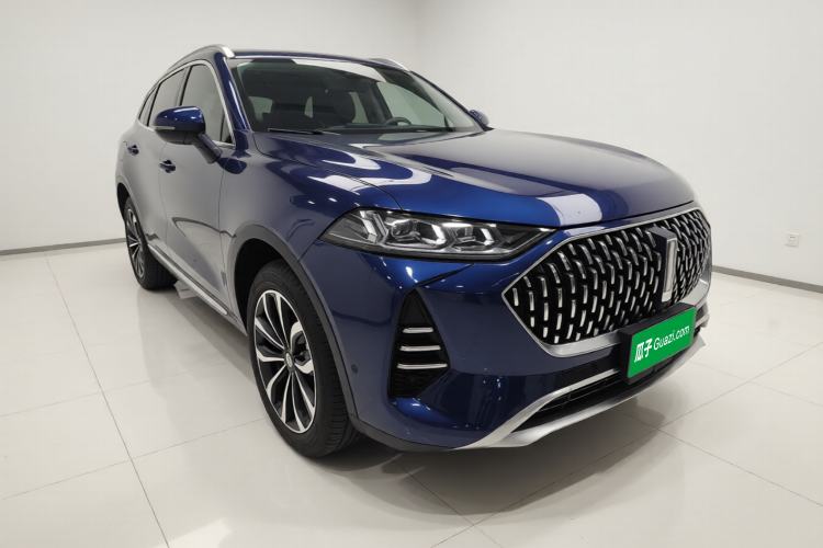 Used Wey Mocha 2021 2.0T Two-Wheel-Drive Premium Edition