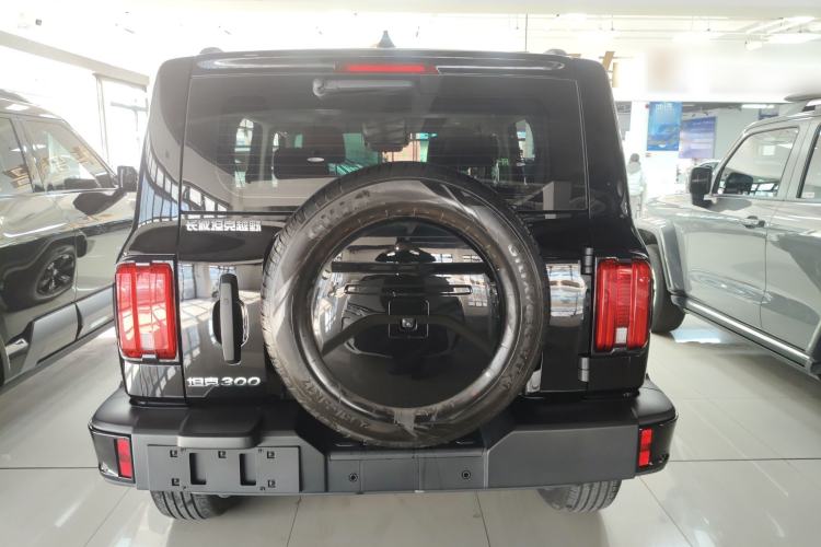 Used Tank 300 2024 2.0T Conqueror
