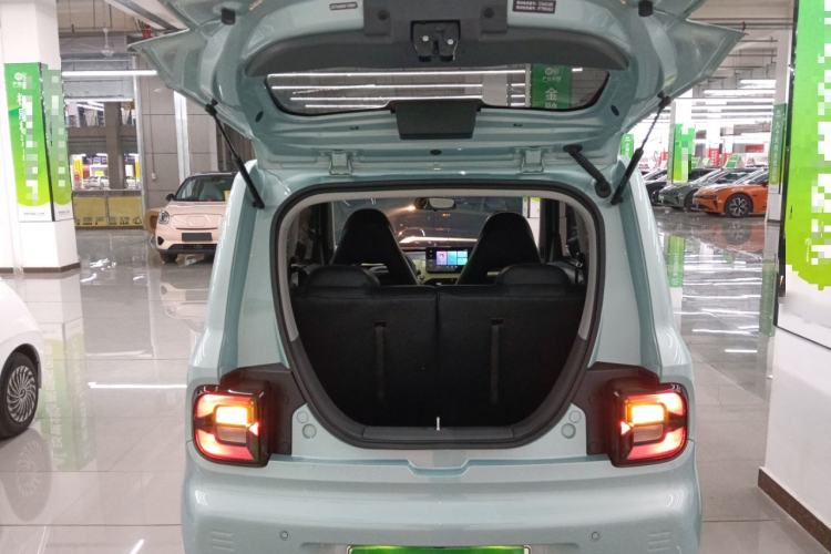 Used  Panda 2023 Panda Mini 200km Endurance Bear