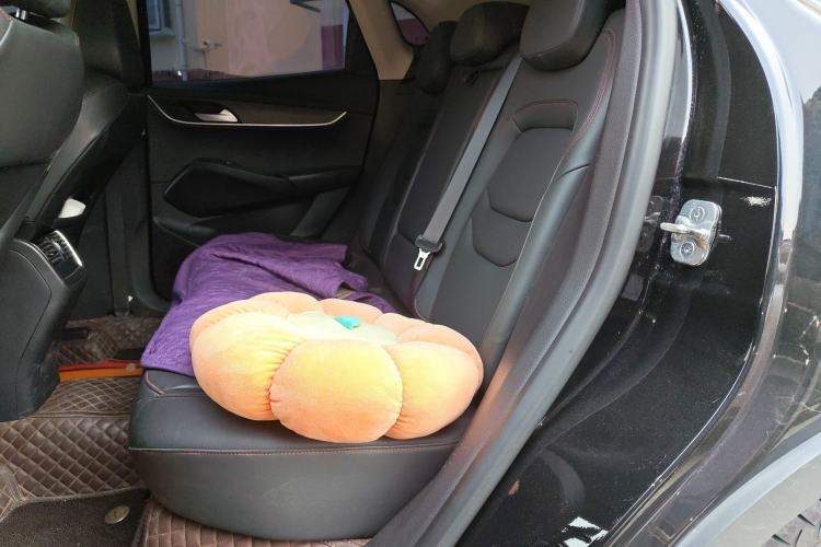 Used BORGWARD BX5 2020 20TGDI Automatic Two-Wheel Drive Pioneer Edition
