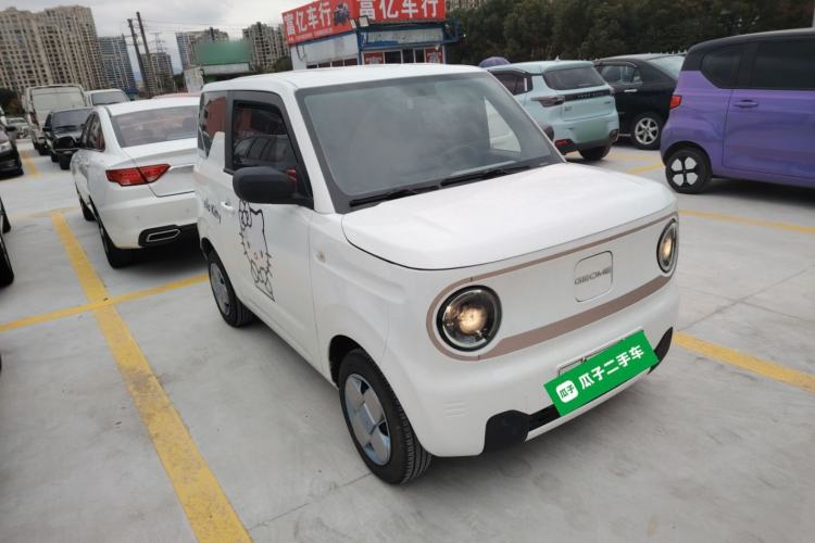 Used  Panda 2023 Panda Mini 200km Endurance Bear
