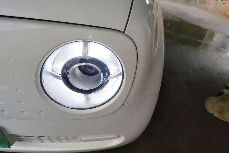 Used ORA Black Cat 2021 301km Cute Pet Edition
