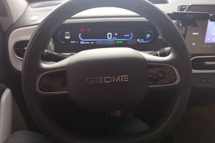 Used  Panda 2025 210 km – Yuanqi Bear
