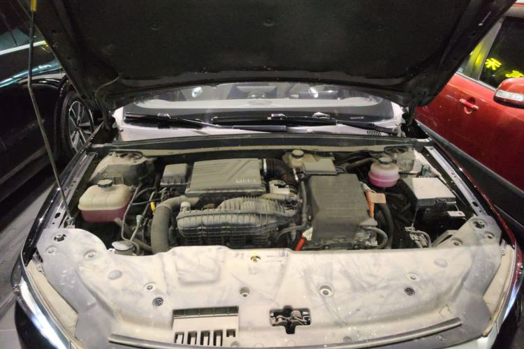 Used BYD Qin PLUS 2023 Champion Edition DM-i 55KM Leading Model
