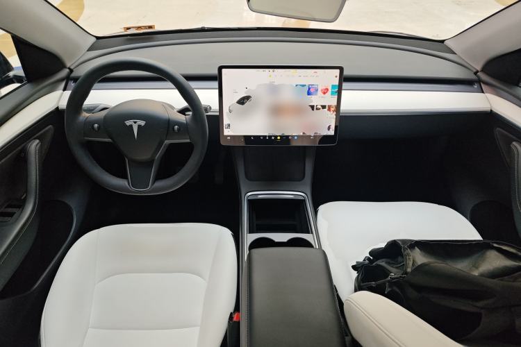 Used Tesla Model Y 2021 Standard Range Rear-Wheel Drive Version
