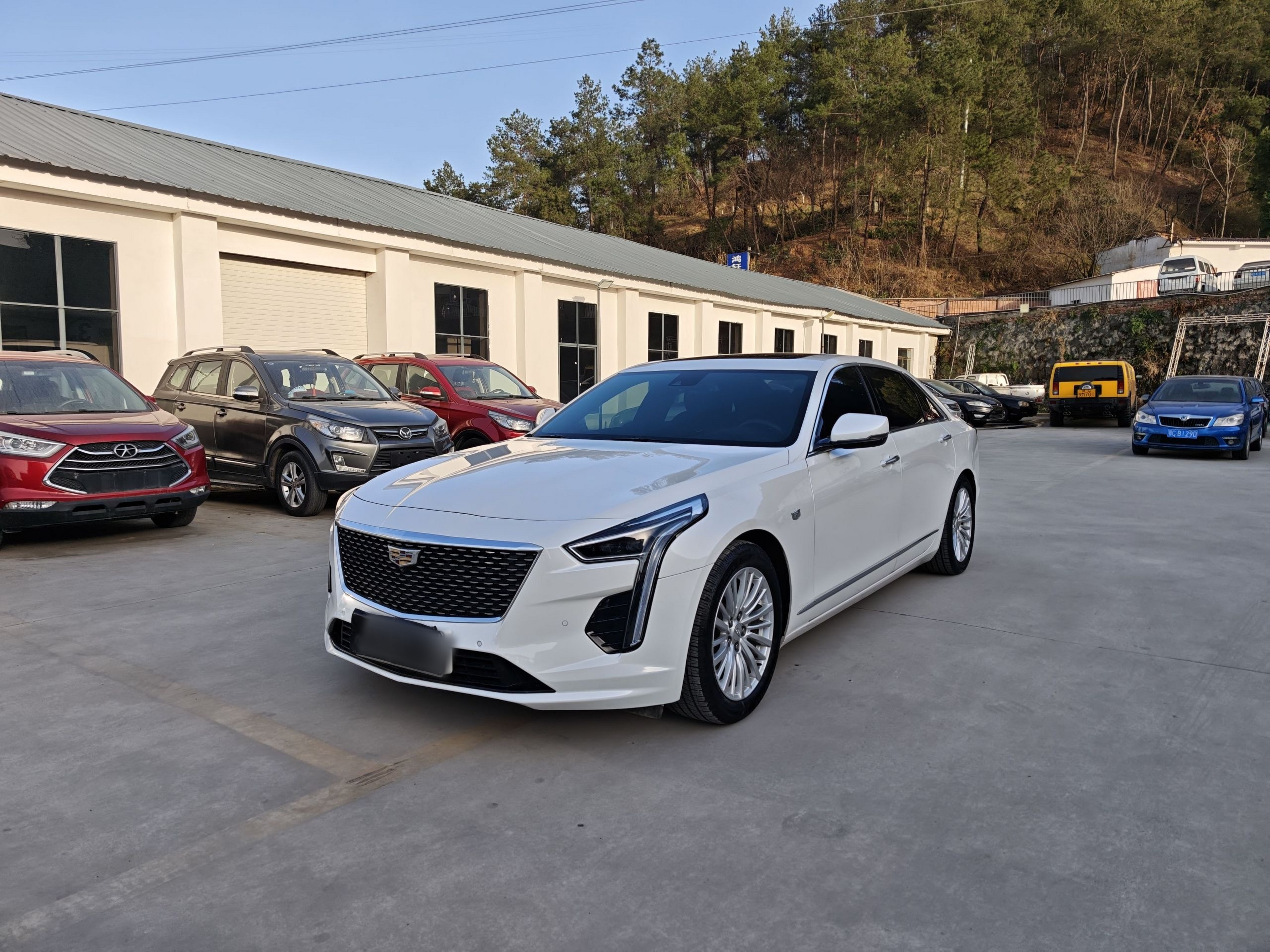 تحت مقدمة السيارة