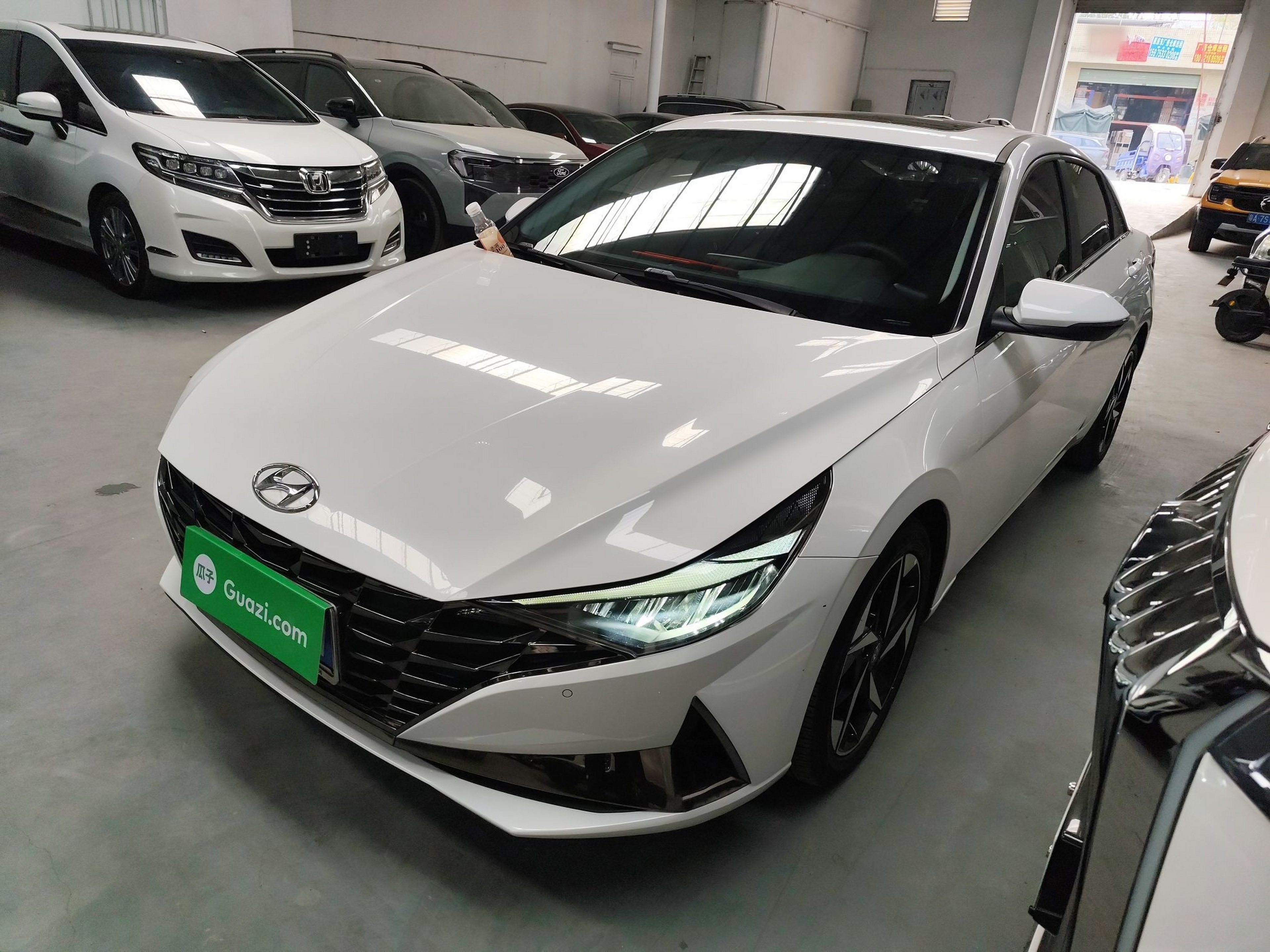 تحت مقدمة السيارة