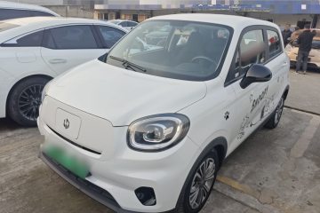 Used Leapmotor T03 2021 400 Lite Edition Lithium Iron Phosphate