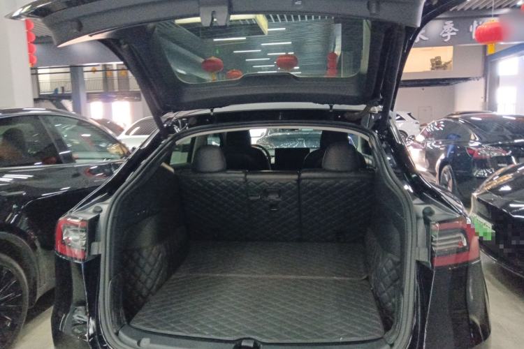 Used Tesla Model Y 2021 Standard Range Rear-Wheel Drive Version
