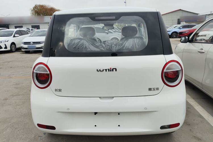 Used  Lumin 2025 205 km Xiangqin Version