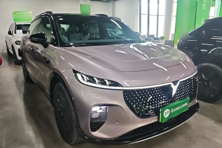 Used VOYAH COURAGE 2024 Four-Wheel Drive Global Edition
