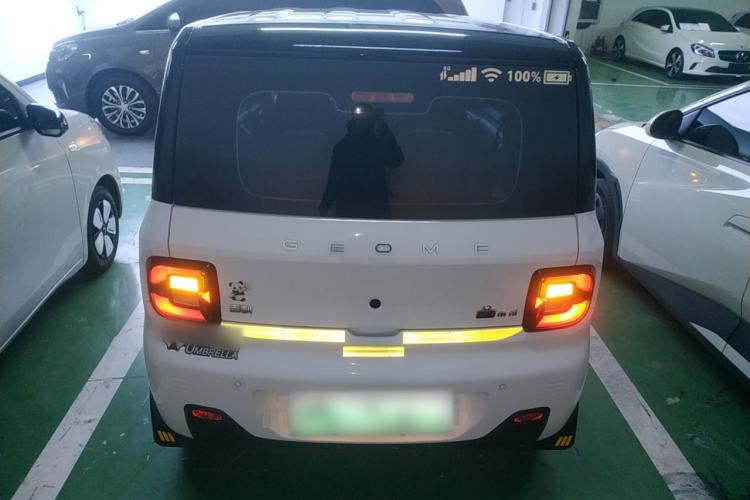 Used  Panda 2023 Panda Mini 200km Endurance Bear
