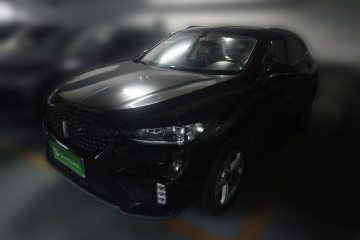 Used Wey VV5 2020 1.5T Two-Wheel Drive Color Pioneer