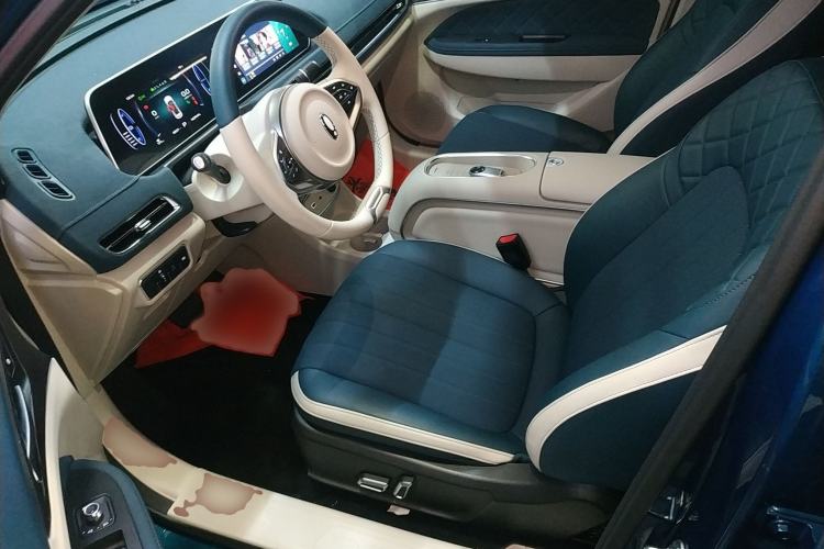 Used ORA Good Cat 2023 401 km Standard Range Luxury Version Lithium Iron Phosphate
