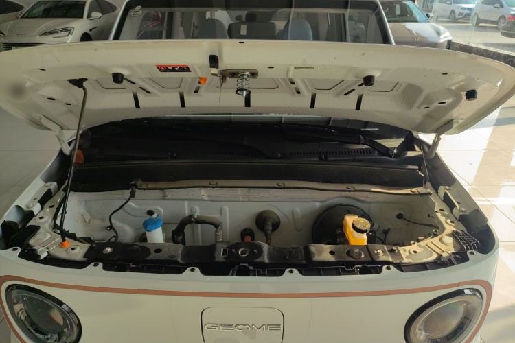 Used  Panda 2024 Panda Mini 200km Endurance Bear
