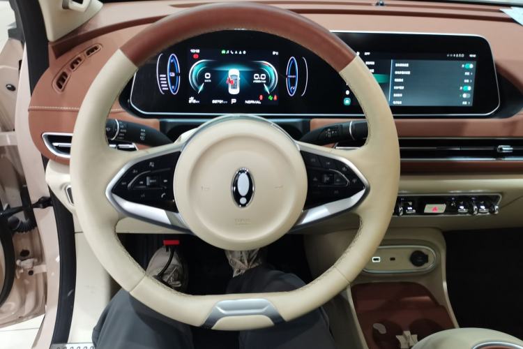 Used ORA Good Cat 2023 401 km Standard Range Premium Version Lithium Iron Phosphate