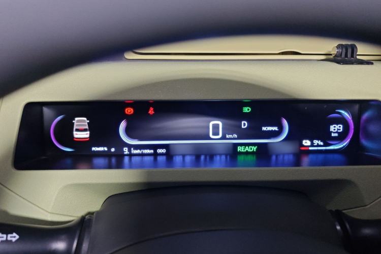 Used  Panda 2024 Panda Mini 200km Endurance Bear