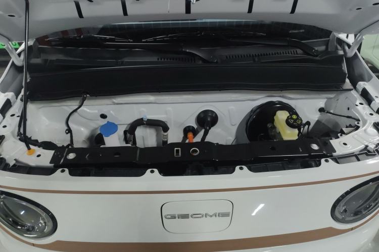 Used  Panda 2024 Panda Mini 200km Endurance Bear
