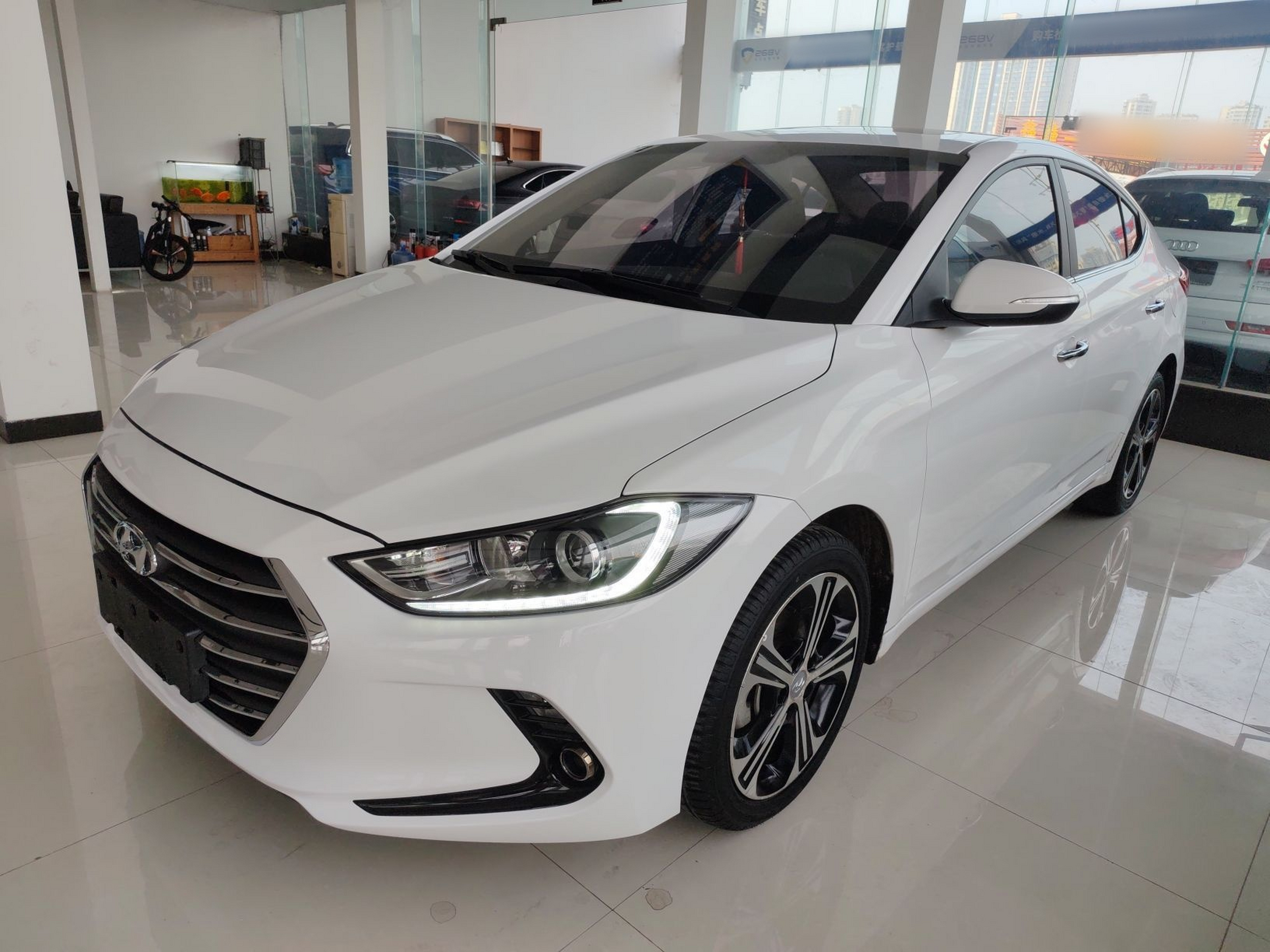 تحت مقدمة السيارة