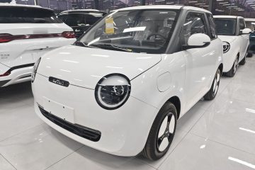 Used Qiyuan Lumin 2025 205 km Xiangqin Version