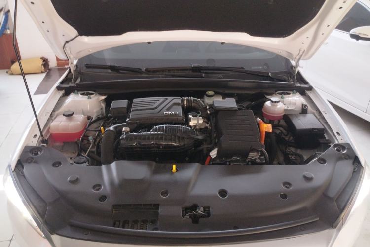 Used BYD Qin PLUS 2024 HONOR Edition DM-i 55KM Leading Model
