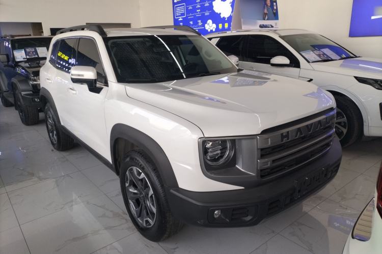 Used Haval DARGO 2024 2.0T DCT Chinese Rural Dog Edition