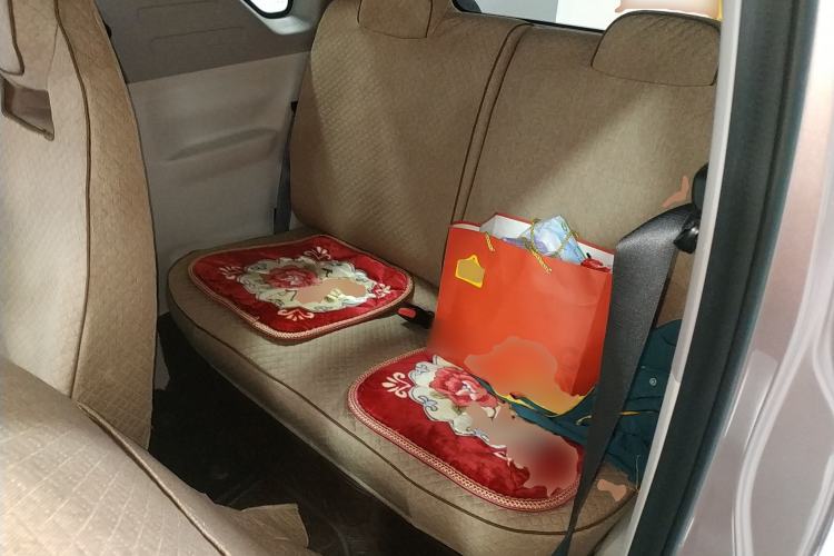 Used  Panda 2025 210 km – Yuanqi Bear
