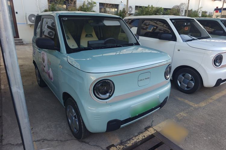 Used  Panda 2023 Panda Mini 200km Endurance Bear
